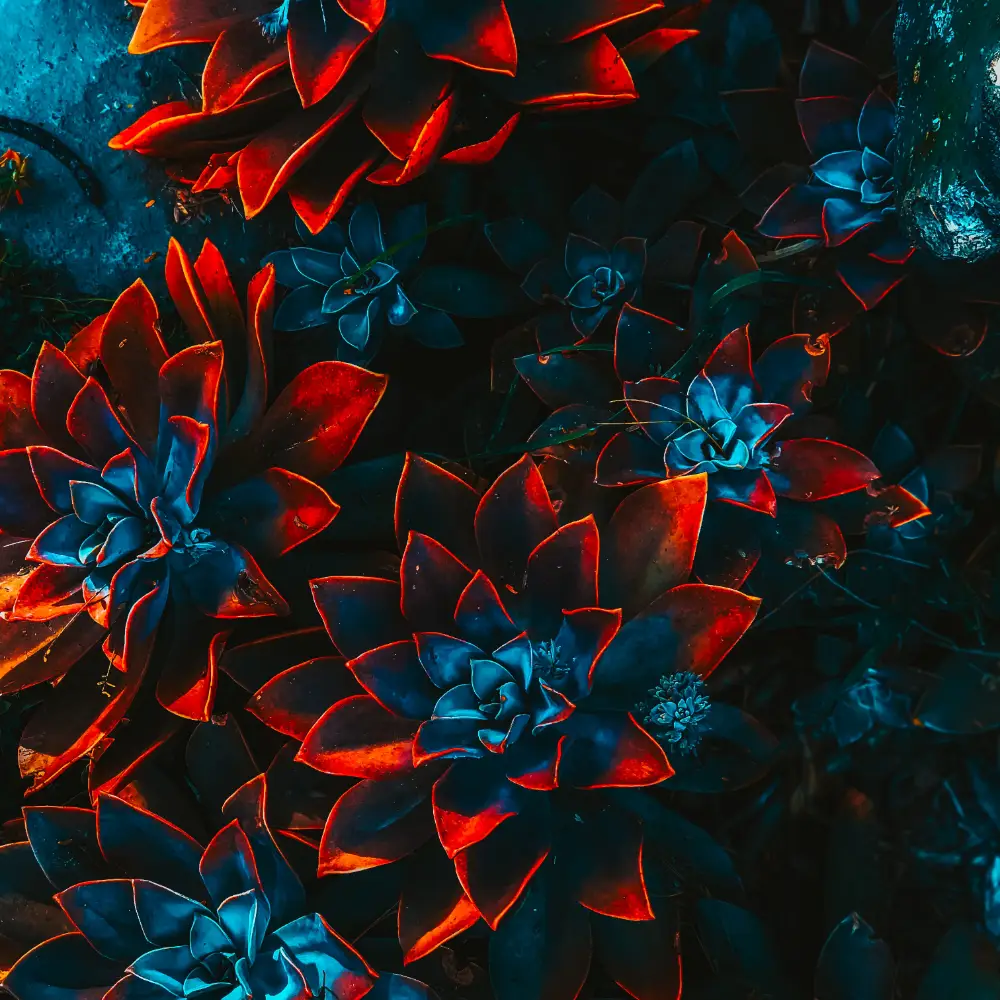 freelance artist floral 4